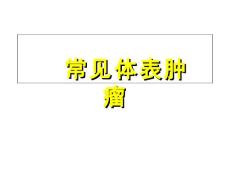 常见体表肿瘤PPT培训课件