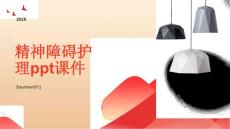 精神障碍护理课件
