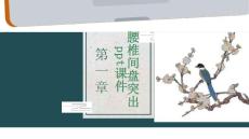 腰椎间盘突出课件