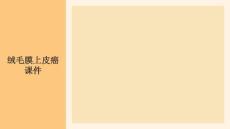 绒毛膜上皮癌课件