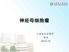 yy神经母细胞瘤【15页】