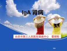 IgA肾病【38页】