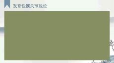 发育性髋关节脱位