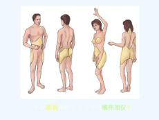最新脂肪和脂肪肝文档