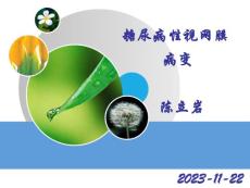 糖尿病性视网膜病变