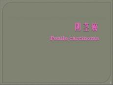 阴茎癌课件