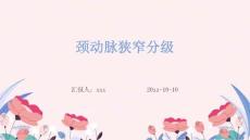 颈动脉狭窄分级ppt