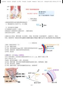 22腹外疝