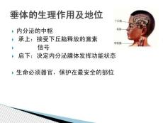 垂体瘤影像诊断