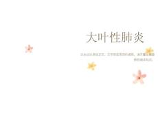 大叶性肺炎影像诊断