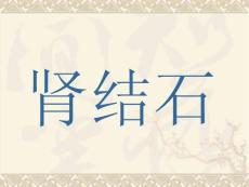 肾结石.ppt
