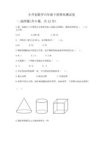 小升初數(shù)學六年級下冊期末測試卷及參考答案(名師推薦)