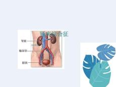 小儿肾病综合征
