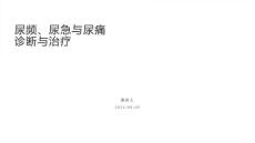 尿频、尿急与尿痛诊断与治疗