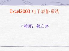 Excel2003电子表格系统