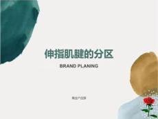 伸指肌腱的分区课件