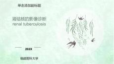 肾结核的影像诊断最新
