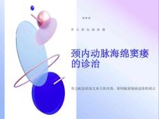 颈内动脉海绵窦瘘的诊治