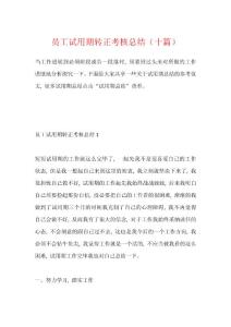 員工試用期轉正考核總結(十篇)