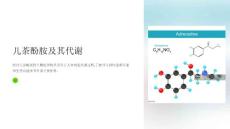 《儿茶酚胺及其代谢》课件