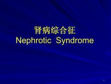肾病综合征肾病综合征诊断标准ppt课件