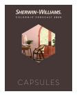 SHERWIN WILLIAMS - Colormix 2025 lookbook_CAIG