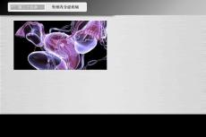 功能性子宫出血-妇科教学