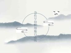 急性早幼粒细胞白血病治疗