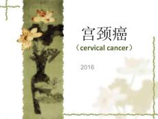 宫颈癌概述