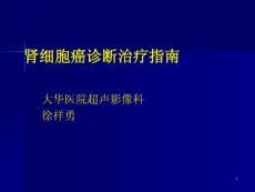 肾癌诊疗指南