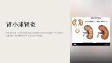 《肾小球肾炎》课件