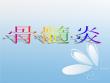 骨髓炎【19页】