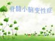 脊髓小脑变性症【21页】