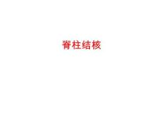 脊柱结核【60页】