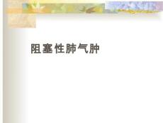 肺气肿【23页】