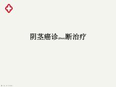 阴茎癌治疗及诊断深入培训ppt