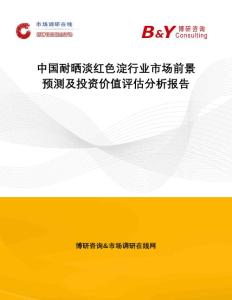 中国耐晒淡红色淀行业市场前景预测及投资价值评估分析报告