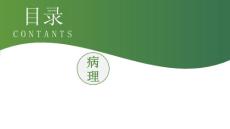 扩张型心肌病病理