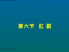 肛裂【28页】