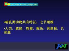 寰枢椎旋转半脱位