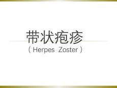 带状疱疹【31页】