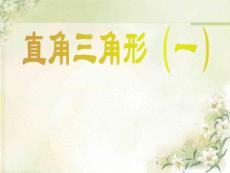 直角三角形（一）