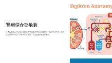 《肾病综合征》课件