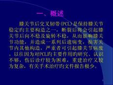 膝关节后交叉韧带损伤