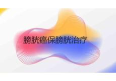 膀胱癌保膀胱治疗2025