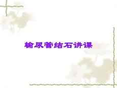 输尿管结石讲课