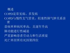 2025年COPD 專業(yè)治療與康復(fù)指導(dǎo)講座