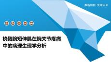 桡侧腕短伸肌在腕关节疼痛中的病理生理学分析-洞察分析
