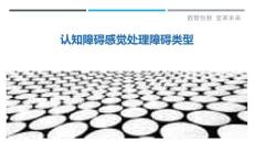 认知障碍感觉处理障碍类型-剖析洞察