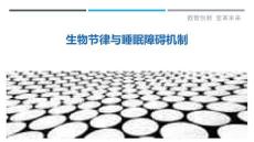 生物节律与睡眠障碍机制-剖析洞察